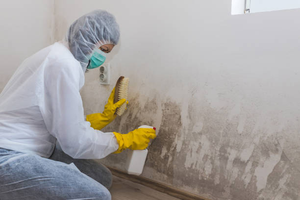 Best Crawl Space Mold Removal  in Madisonville, TX