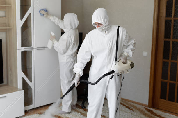 Best Home Mold Removal  in Madisonville, TX