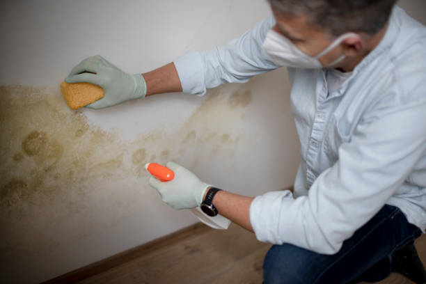 Water Damage Restoration in Madisonville, TX