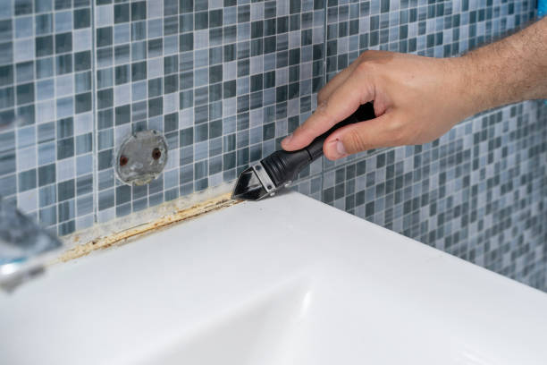 Best Local Mold Removal Service  in Madisonville, TX