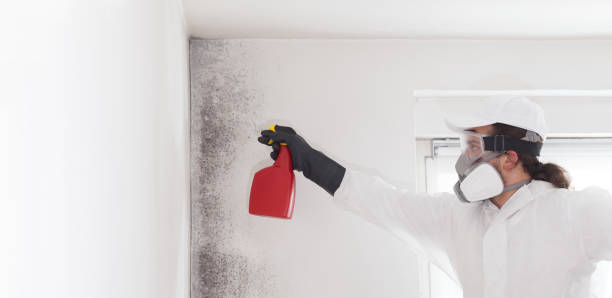 Best Residential Mold Removal  in Madisonville, TX