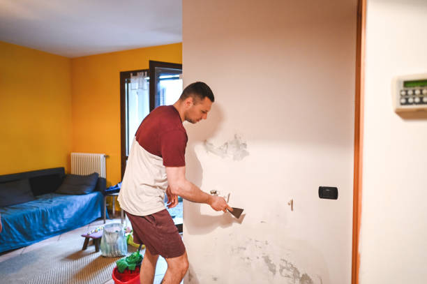 Best Mold Removal Specialists  in Madisonville, TX
