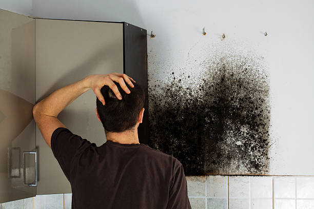 Best Mold Cleaning Services  in Madisonville, TX